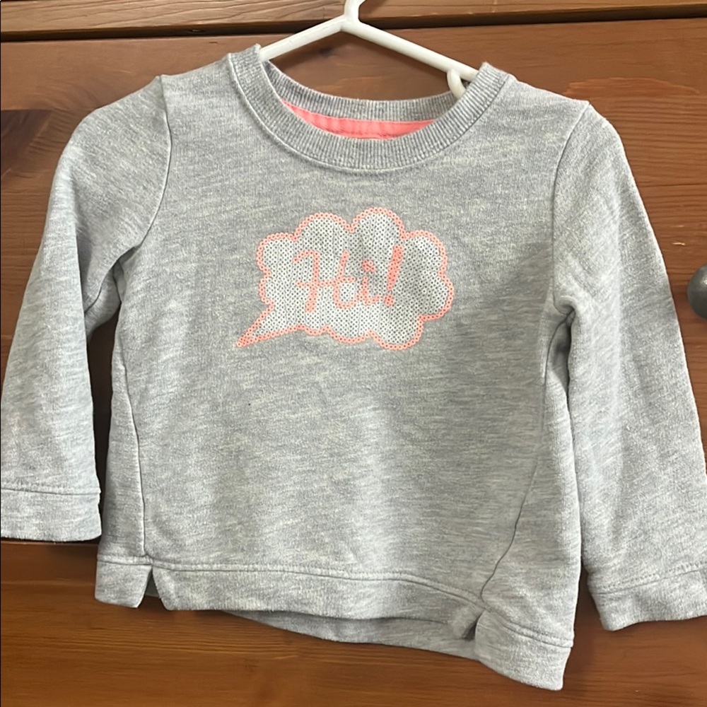 OshKosh B'gosh Gray and Pink Sweatshirt Crew Neck